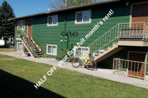 1817 Howell WM2(1)1 with offer half off-CPM18L01MSL (1)